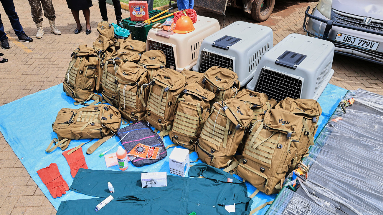 IFAW provided the Uganda Wildlife Authority (UWA) with specialised animal rescue and handling equipment