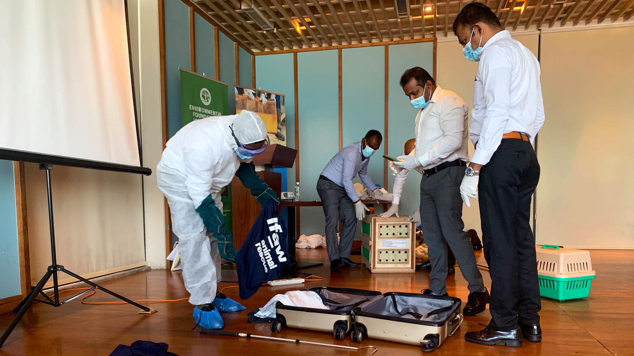 A handling and biosafety demonstration at one of the CARE trainings held in Sri Lanka.