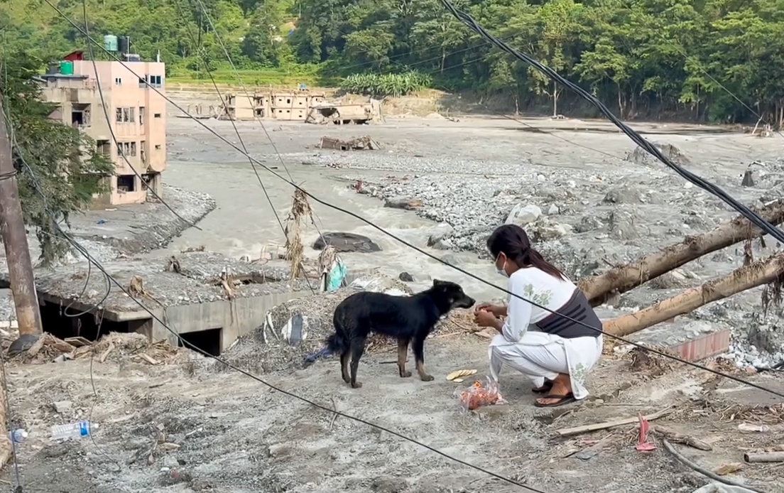 Medewerker van Sneha's Care geeft een hond te eten te midden van de verwoesting na de overstromingen in Nepal.