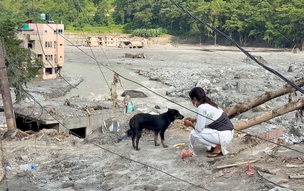 Des inondations catastrophiques au Népal mettent en péril des communautés et des animaux