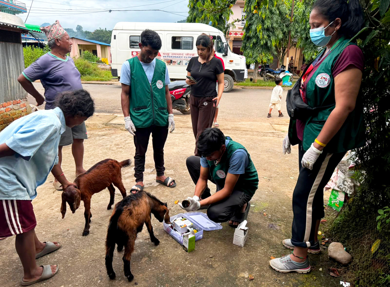 Animals affected by the 2026 Nepal floods receive food, veterinary care, and temporary shelter with support from local responders.