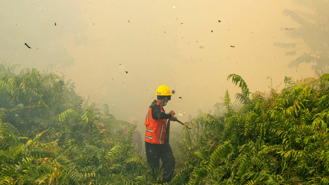 IFAW is supporting partners Yayasan Inisiasi Alam Rehabilitasi Indonesia (YIARI) working alongside community firefighting teams to defend the more than 7,000-hectare Pematang Gadung Village Forest, where an estimated 200 Bornean orangutans still find refuge.