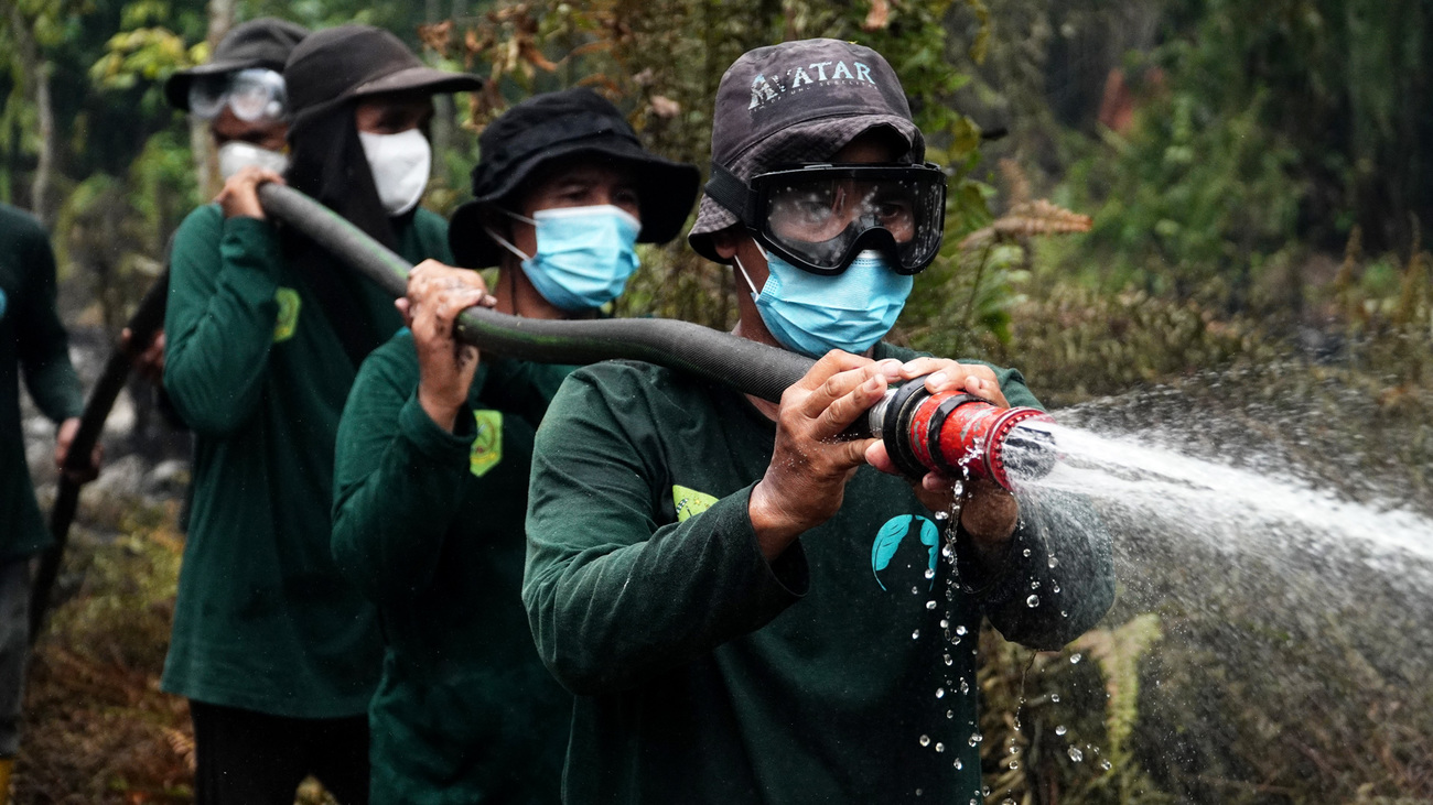 CAN teams rescue and care for wildlife affected by the 2026 wildfires and prolonged drought across Kalimantan