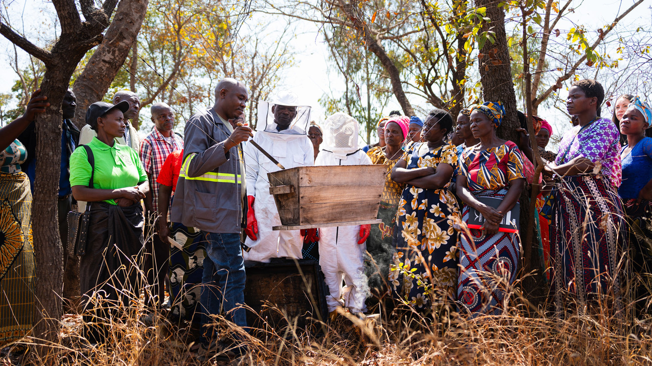 A participant demonstrates how to harvest honey during a beekeeping training session in Kasungu, Malawi.
