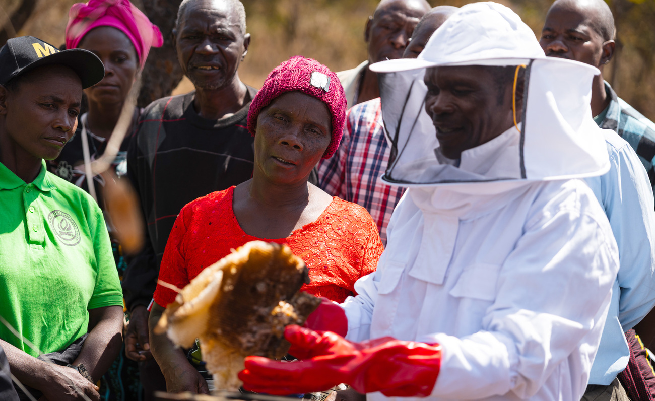 A participant demonstrates how to harvest honey during a beekeeping training session in Kasungu, Malawi.
