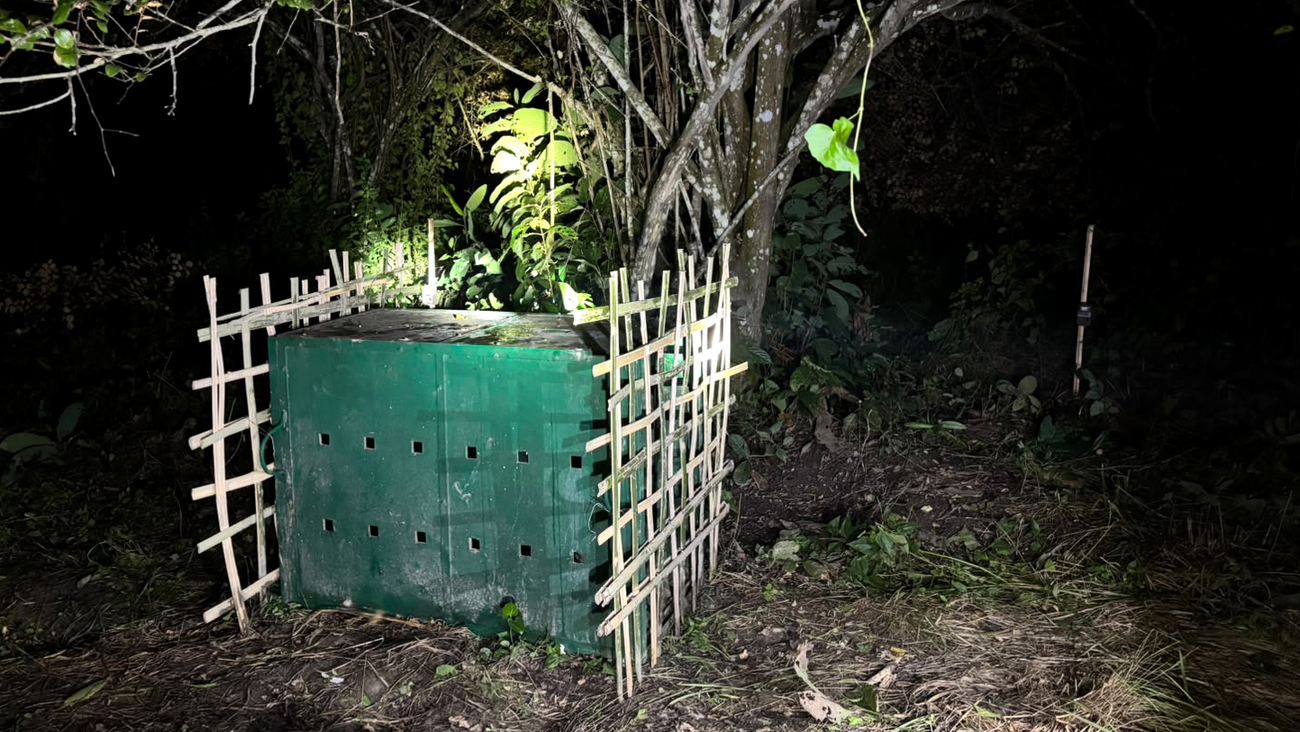 Camera traps have been installed around the release site, and surveillance is ongoing .