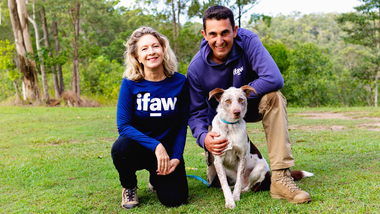 IFAW's Josey Sharrad and Frederic Chappee with Oaka, who is being trained as a potential new koala detection dog.