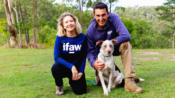 Meet Oaka, the rescue dog training to save koalas