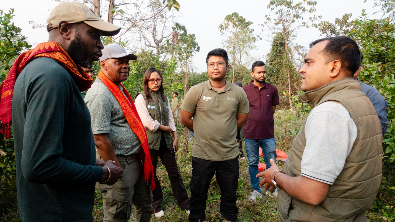 IFAW colleagues and community members share experiences on a farm in Central India as part of a South-South learning exchange, exploring approaches to conservation, sustainable livelihoods, and coexistence with wildlife.