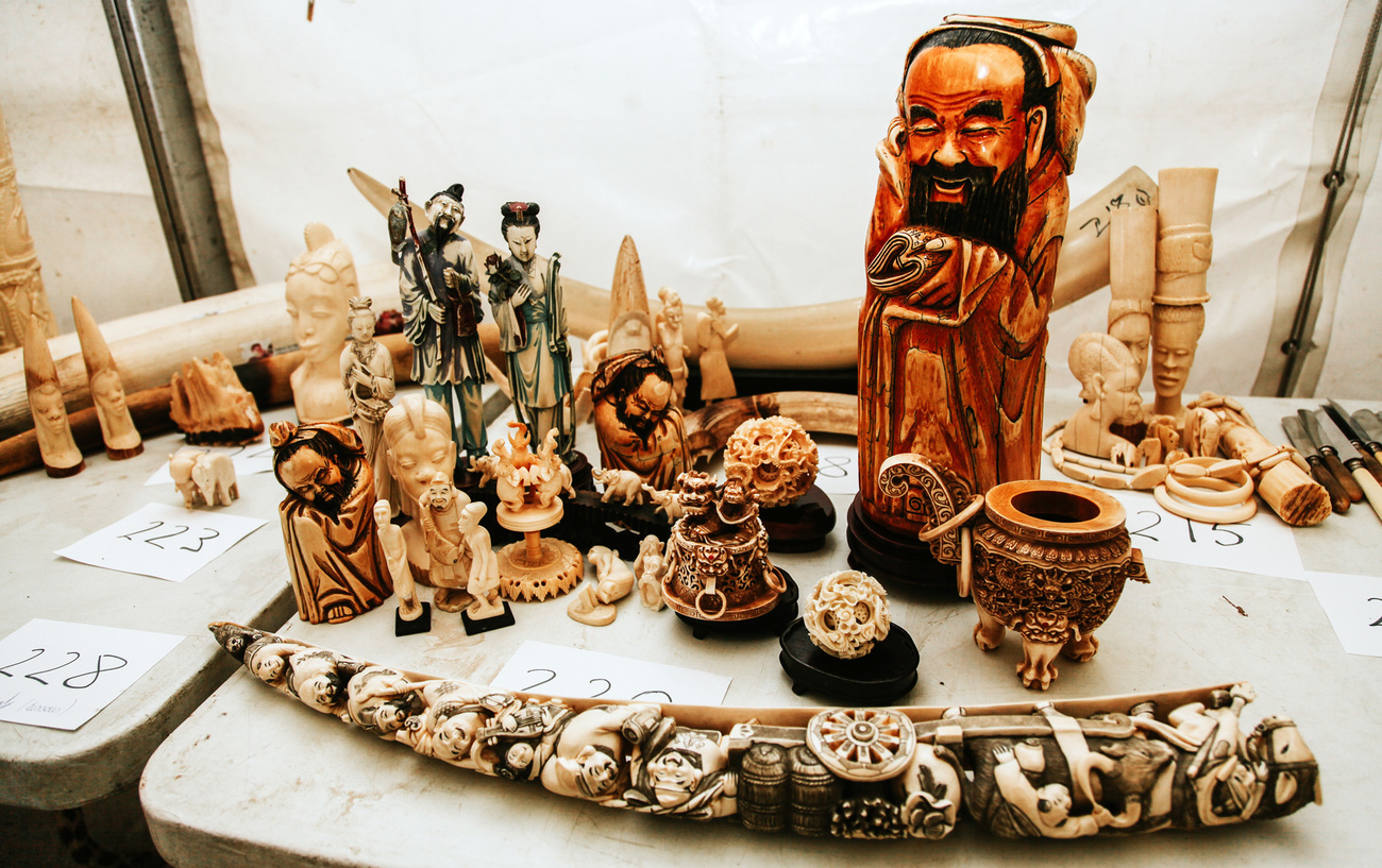 Ivory objects before destruction.