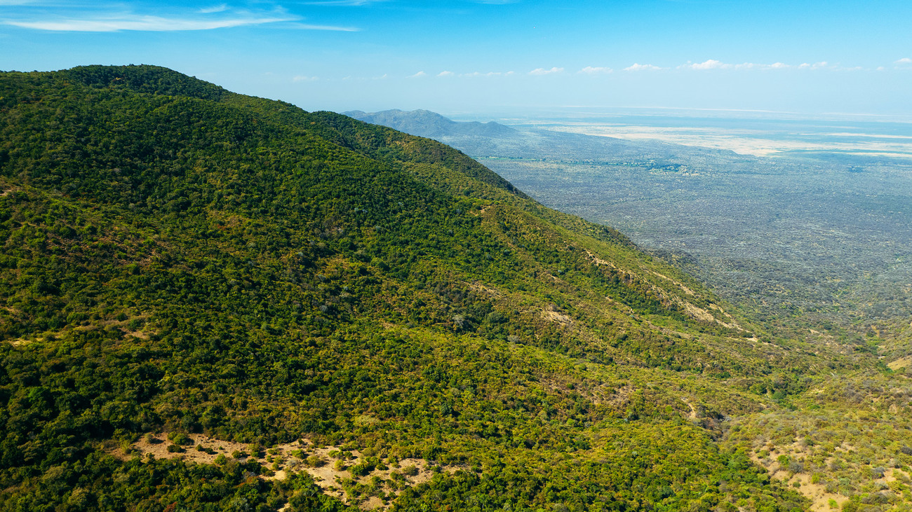 Aerial view of Loita Forest.