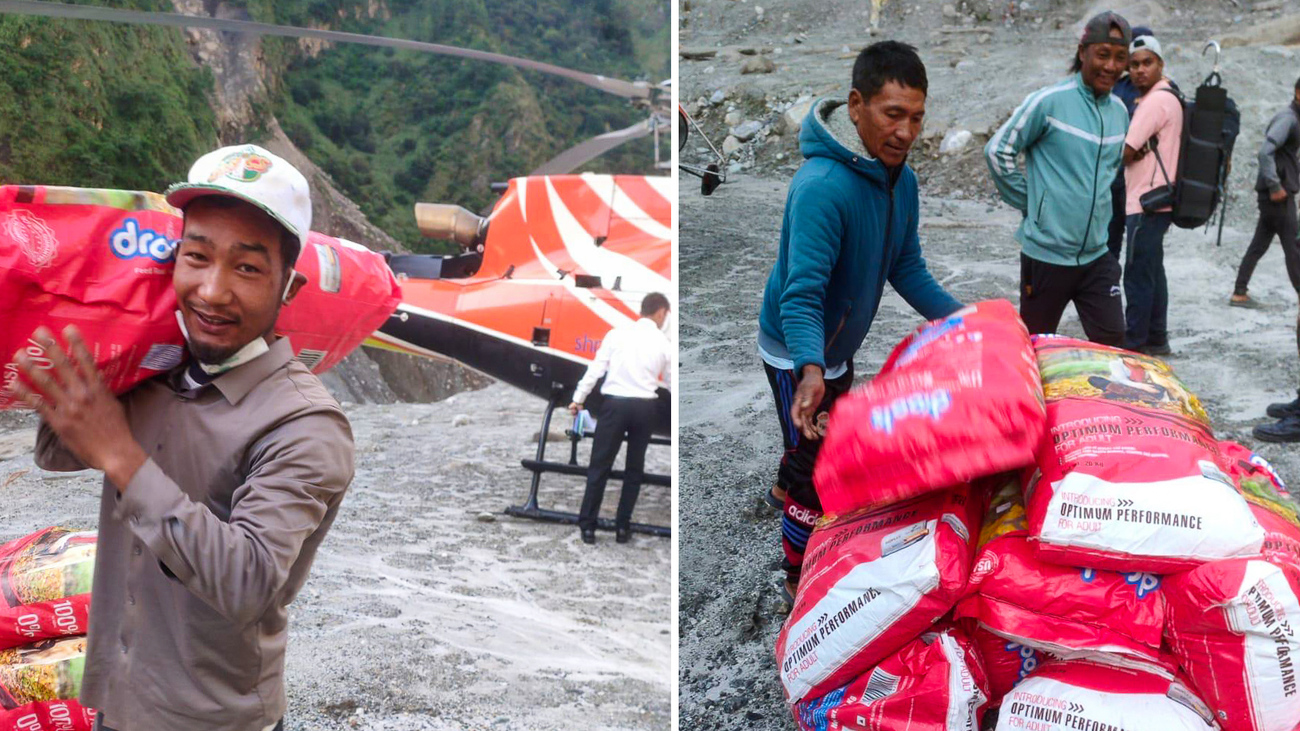 NAWES delivers emergency food to community dogs stranded by the 2026 floods in Nepal.
