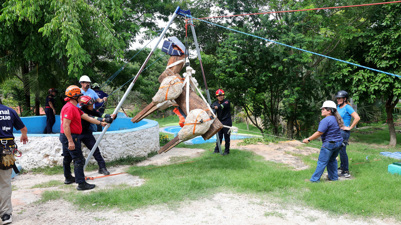 Participants take part in IFAW’s animal Disaster Response training in Mérida, Mexico.