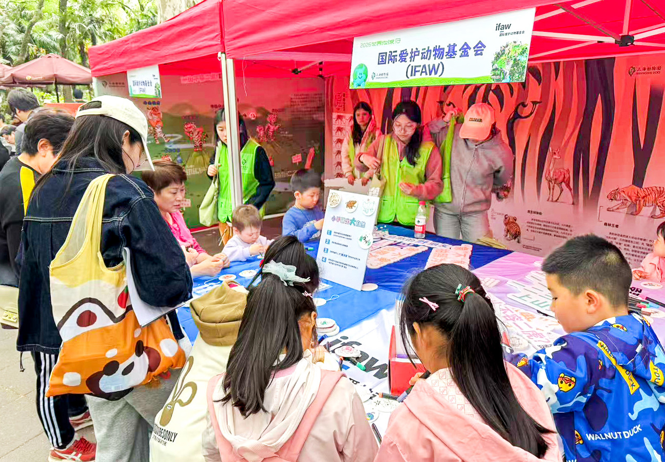 IFAW engages children in colouring paper animals at Shanghai Zoo, China.