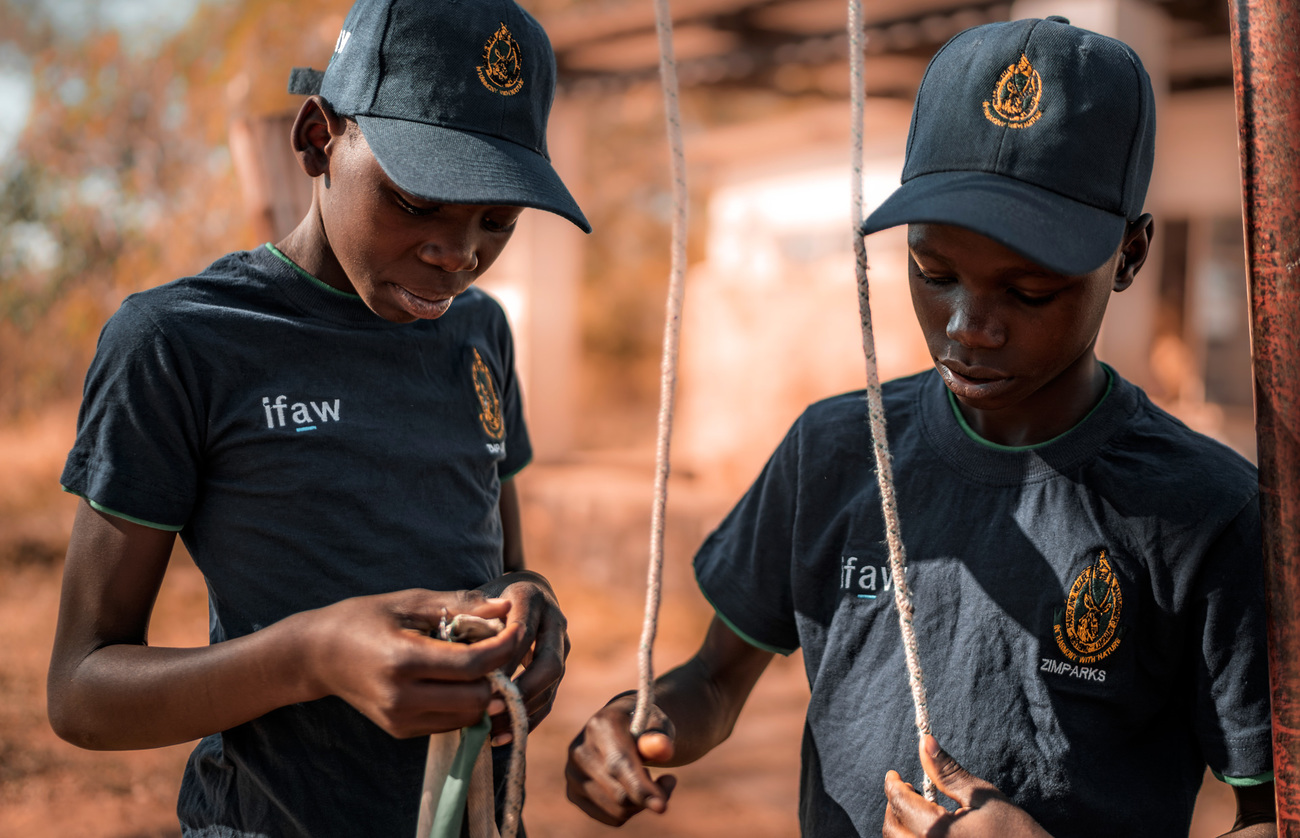 Junior rangers in a primary school near Hwange National Park, Zimbabwe.