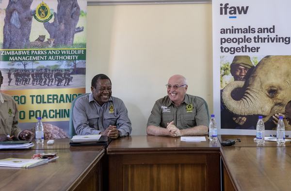 Zimbabwe signs wildlife conservation partnership with ifaw