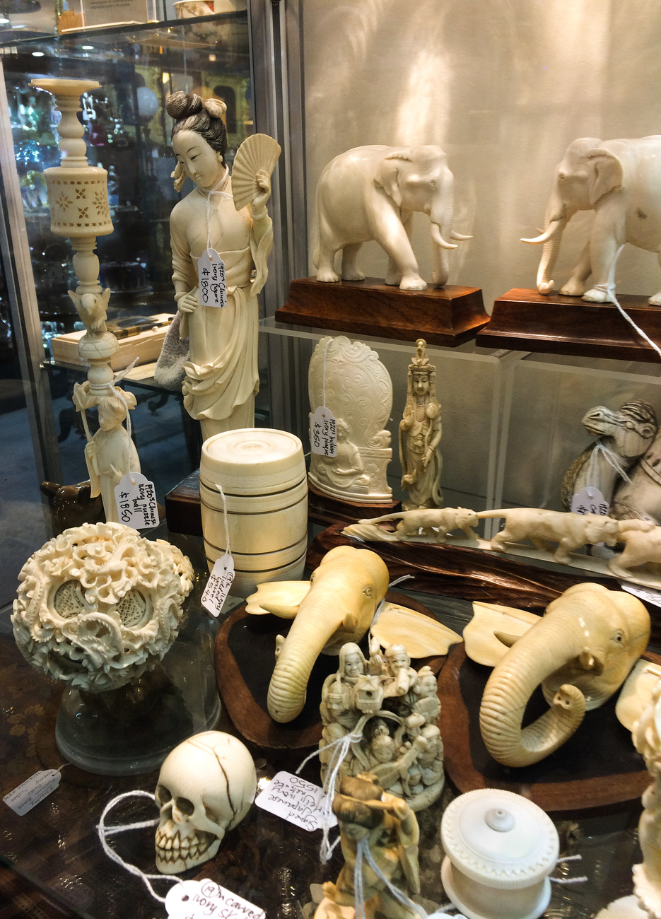 ivory for sale