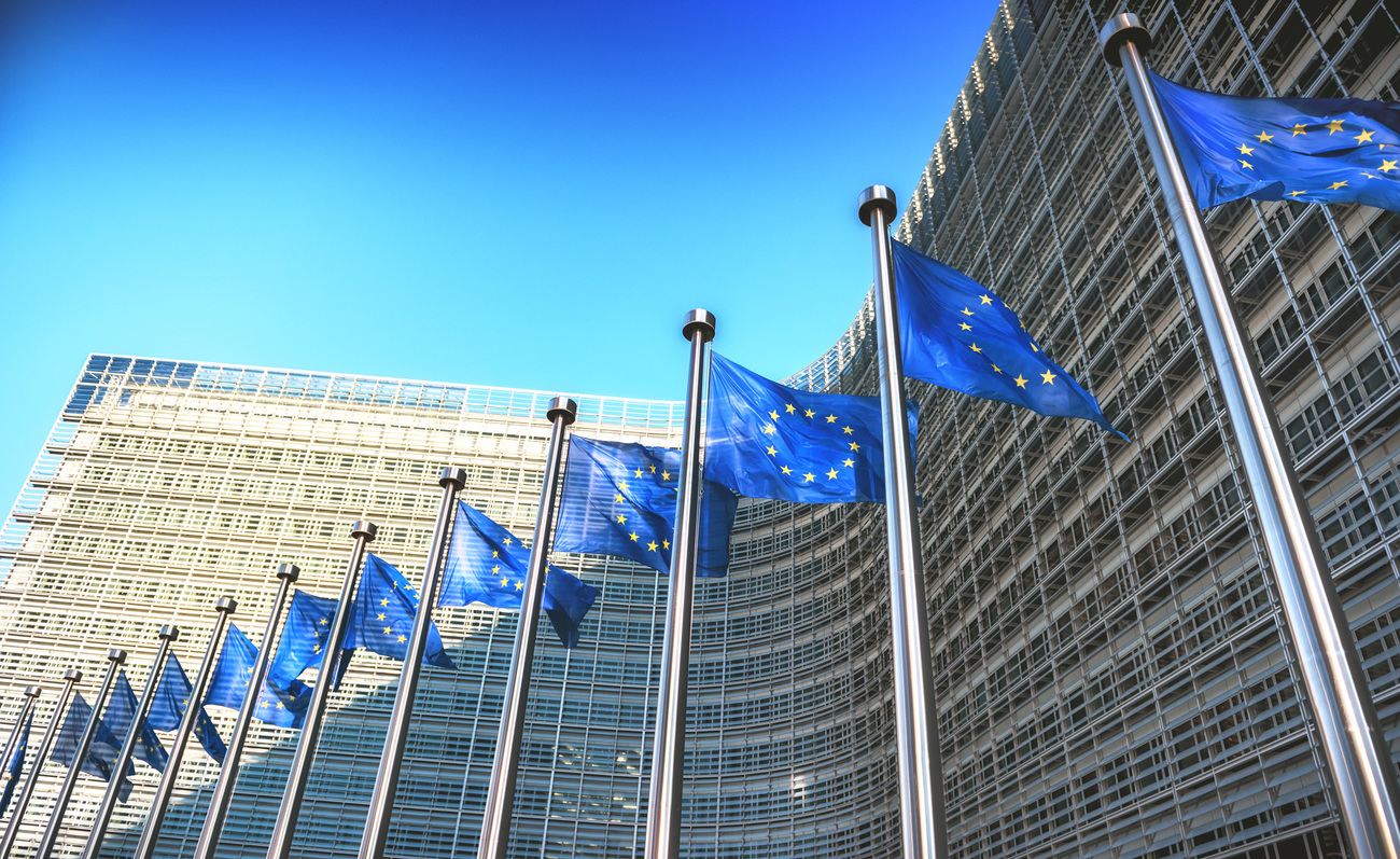 Waving European flags in front of the European Commission in Brussels