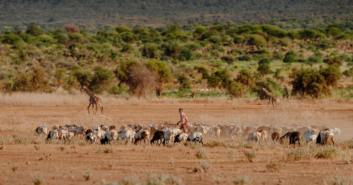 Southern Rangelands, Kenya