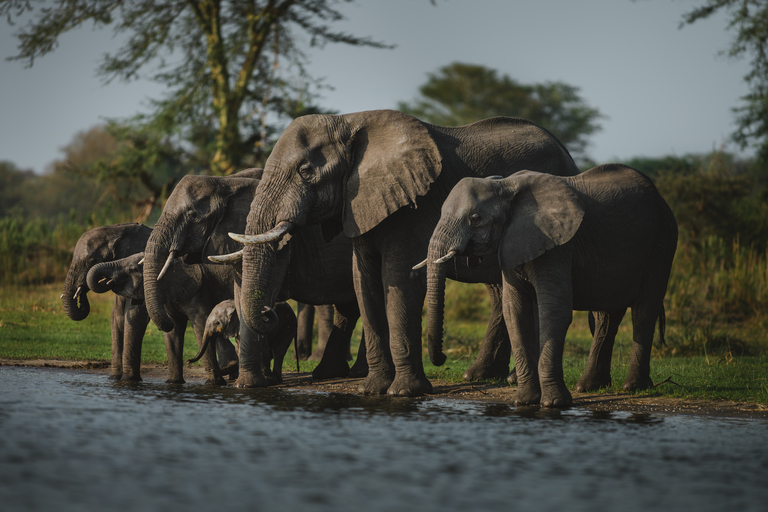 Chikolongo community provides rice to wildlife rangers