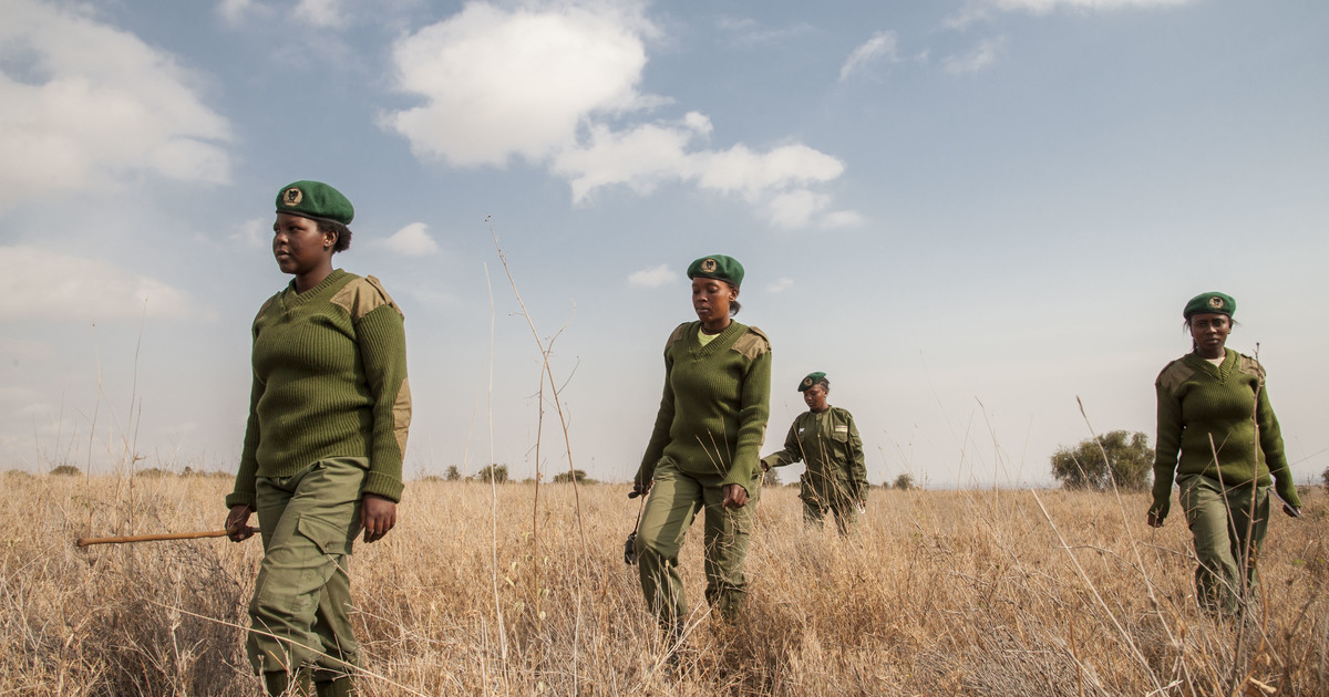  quipe Des Lionnes Kenya