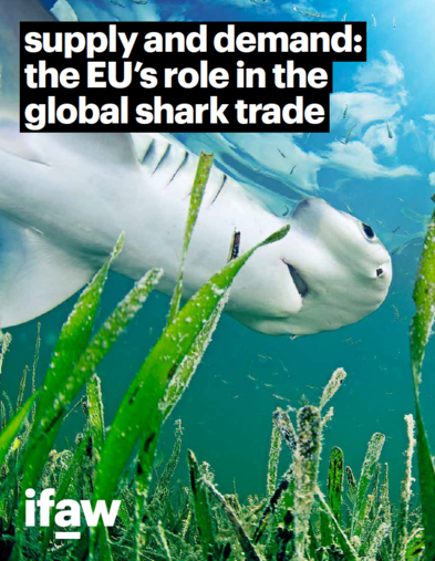 the EU's role in the global shark trade