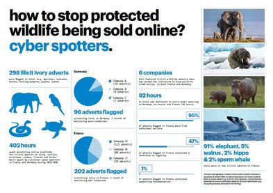 infographic: how ifaw stops protected wildlife being sold online | IFAW