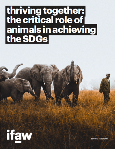 the critical role of animals in achieving the SDGs