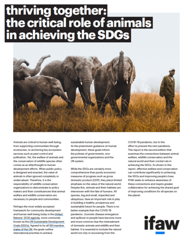 the critical role of animals in achieving the SDGs: exec summary