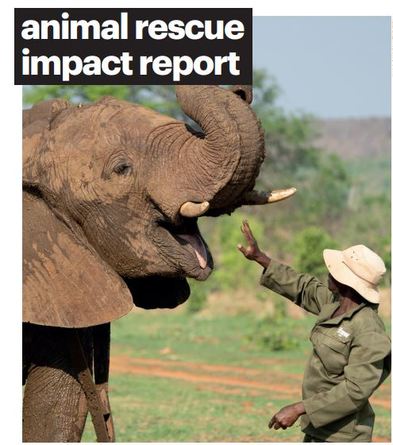 animal rescue impact report | IFAW
