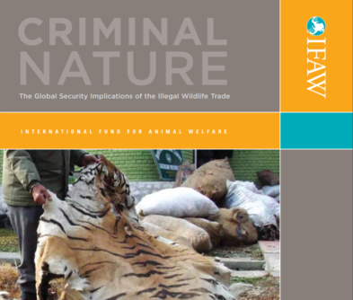 Illegal Wildlife Trade