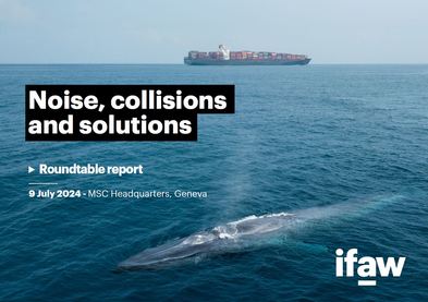 Roundtable: Noise, collisions &amp; solutions | IFAW