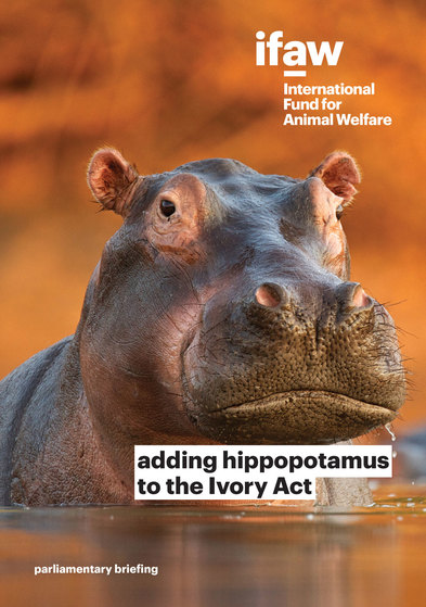 Adding hippopotamus to the Ivory Act