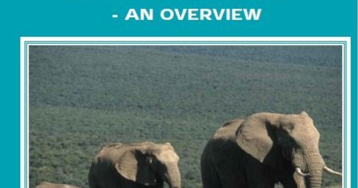 Stopping Elephant Culling in South Africa | IFAW