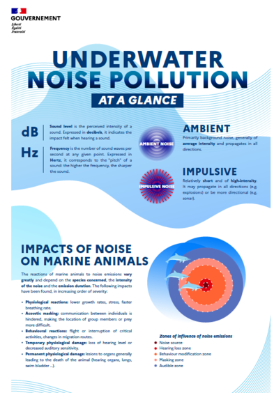 infographic on underwater noise | IFAW