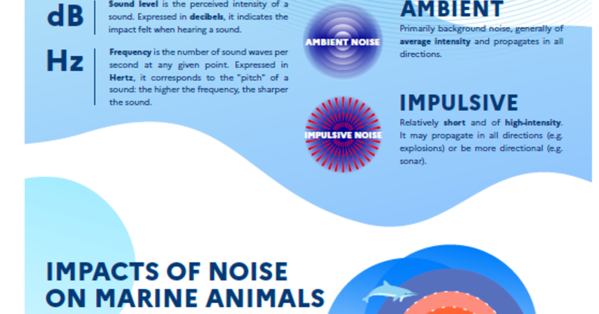 infographic on underwater noise IFAW